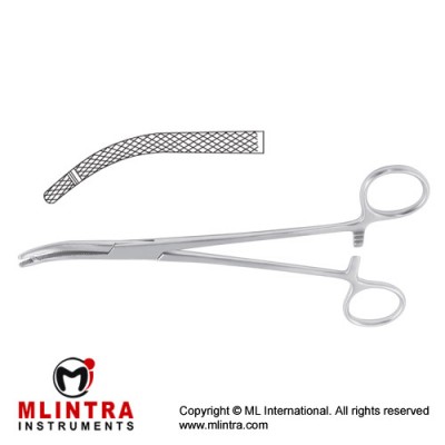 Heaney Hysterectomy Forcep Curved - 1 Tooth Stainless Steel, 19.5 cm - 7 3/4" 